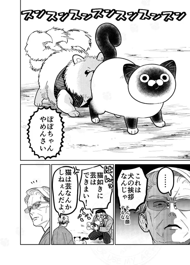 Former Yakuza's Hilarious Life with a Stray Cat and Pomeranian