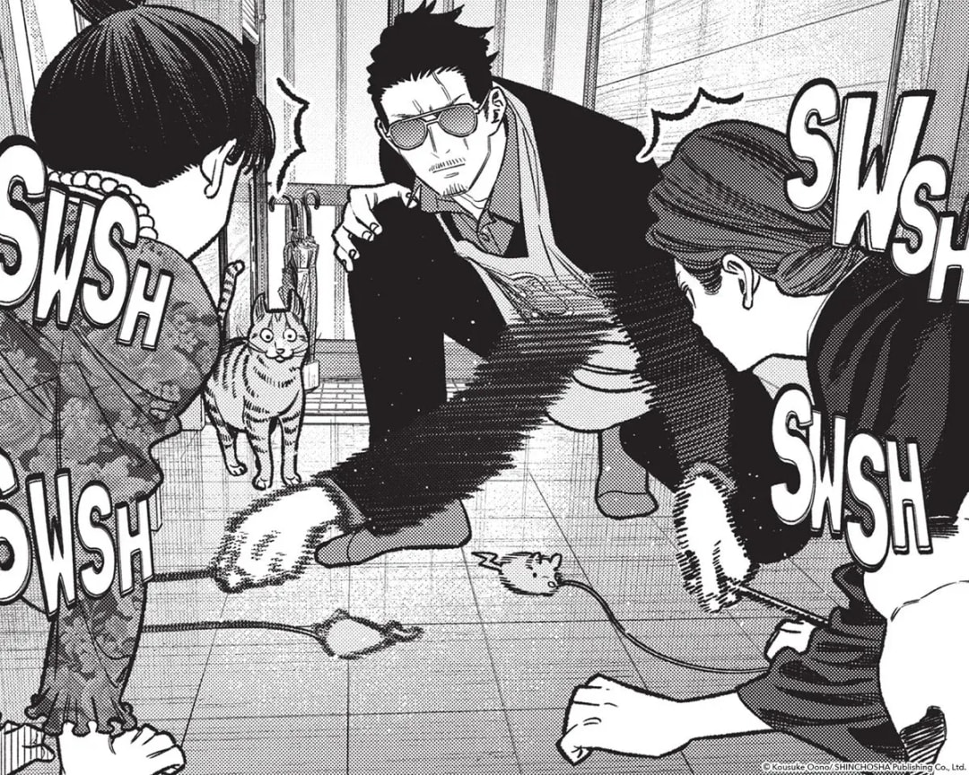 The Immortal Dragon's New Adventure: Tatsu Tackles Cat Fights