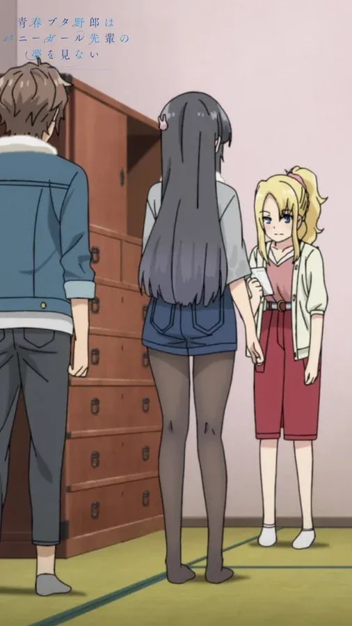 Heartfelt Gratitude in Rascal Does Not Dream of Bunny Girl Senpai