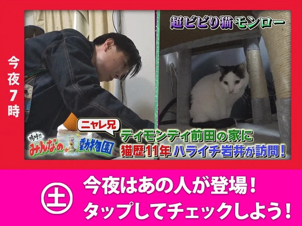 Explore Tonight's Exciting Nippon TV Shows Lineup