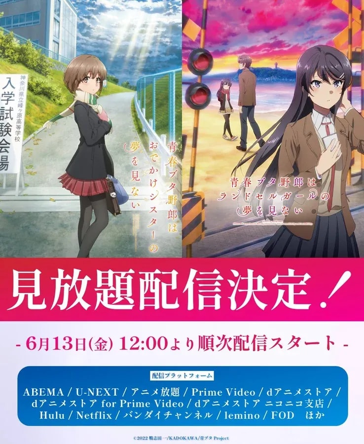 Rascal Does Not Dream Series: New Episodes Now Streaming