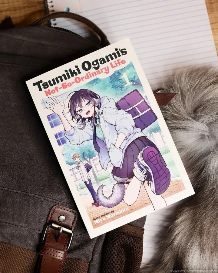Discover the Adventures in Tsumiki Ogami's Not-So-Ordinary Life