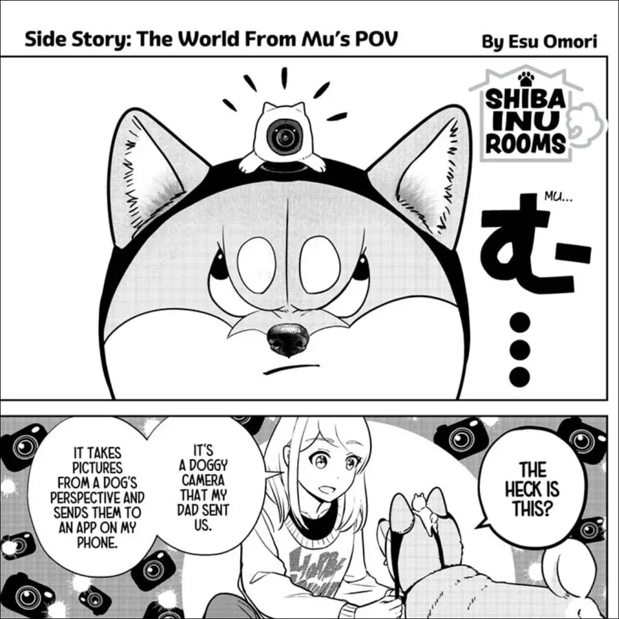 Experience the World Through Mu-chan's Eyes in Shiba Inu Rooms!