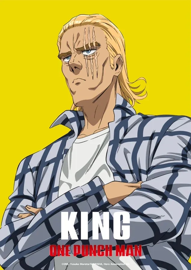One Punch Man: The Enigmatic Hero King
