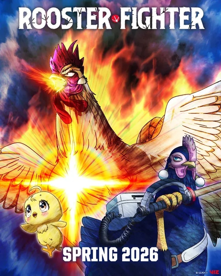 Join the Exclusive Rooster Fighter Club