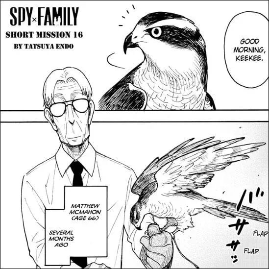 Spy x Family Chapter 116.1: The Comfort of a Homecooked Meal for an Assassin