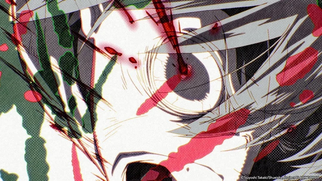 Discover the Thrilling BLACK TORCH Anime Series