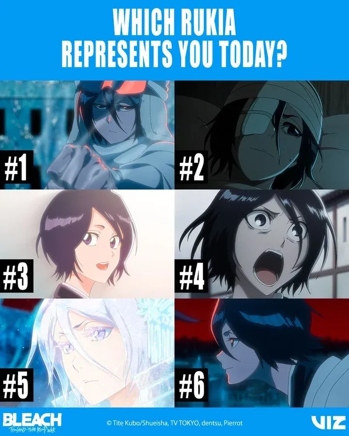 Discover Which Rukia Represents You: BLEACH's Icy Elegance