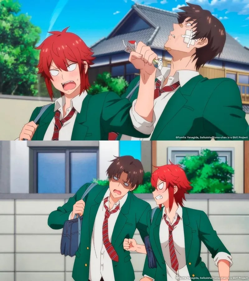 Understanding Signals in 'Tomo-chan Is a Girl!'