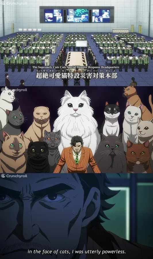 Nyaight of the Living Cat: The Adorable Feline Takeover