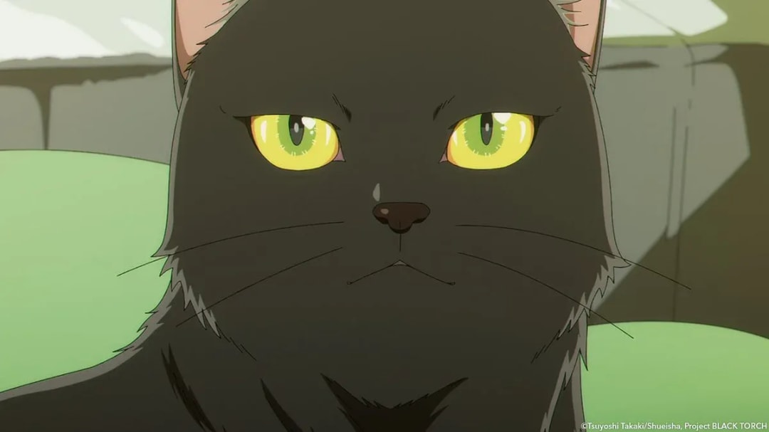 Express Your Excitement for Rago in BLACK TORCH