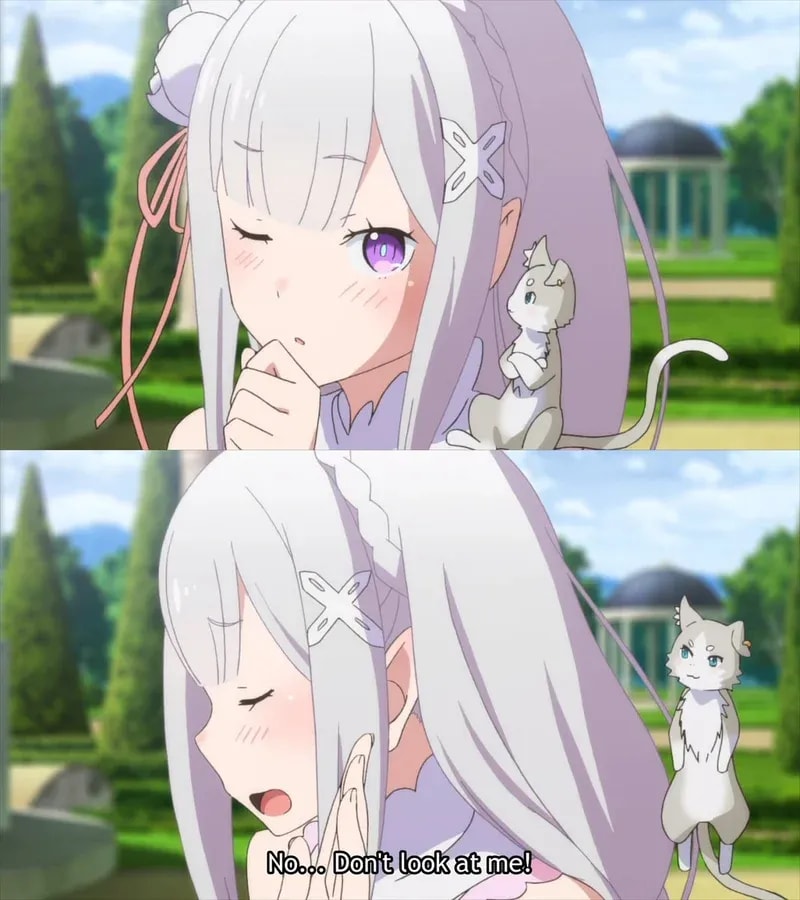 Understanding the Popularity of Emojis in Anime Fandom