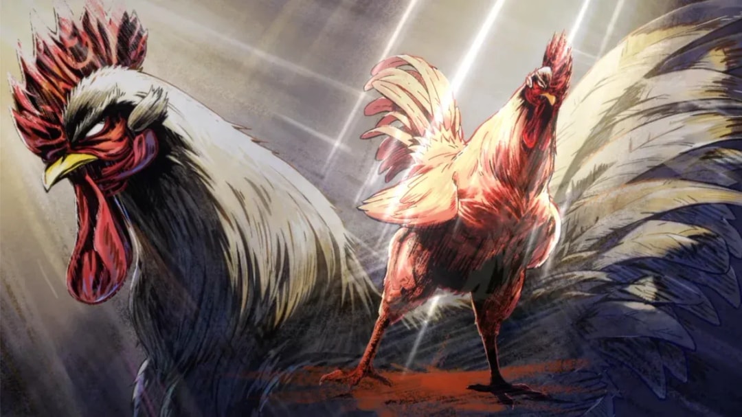 Rooster Fighter Anime Unveils New Voice Cast Ahead of 2026 Debut