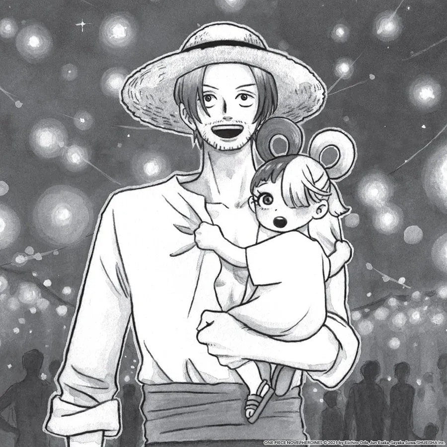 Discover the Unseen Bonds in One Piece: Heroines, Vol. 2