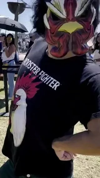 Exciting Moments at SDCC 2023 with Rooster Fighter