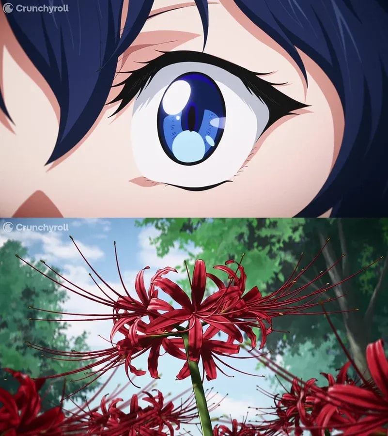 Discover the Secrets of 'My Status as an Assassin Obviously Exceeds the Hero’s'