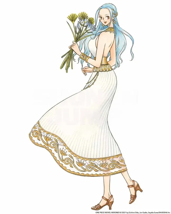 The Power of Compassion: Vivi's Role in One Piece