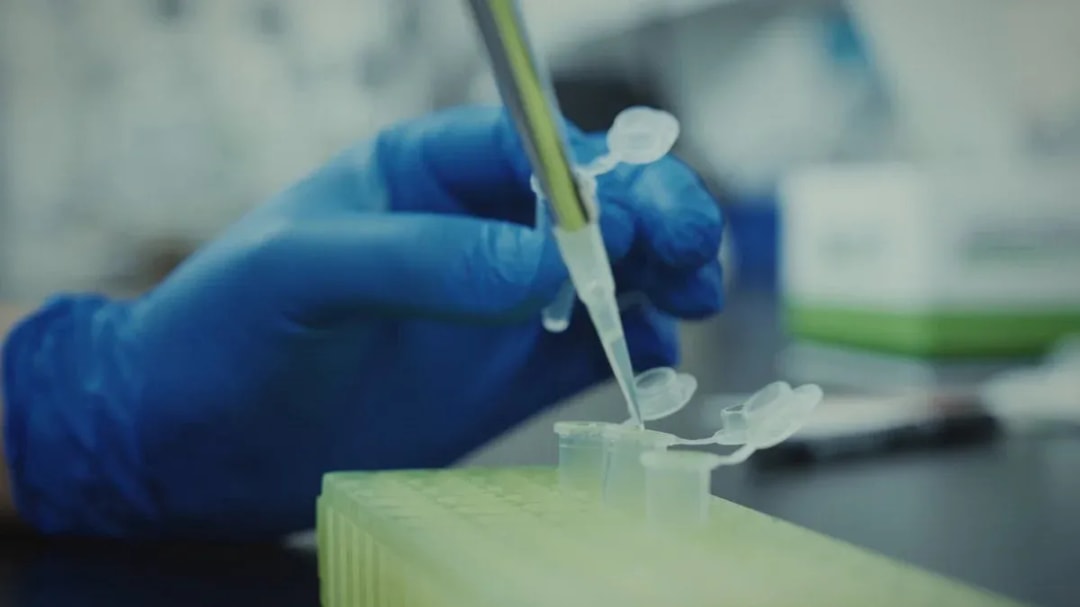 Moyashimon+ Anime Returns After 11 Years: Announced by Real Microbes