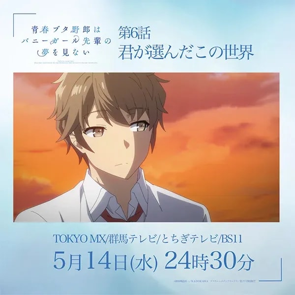 Episode 6 Re-airing: The World You Chose - Bunny Girl Senpai