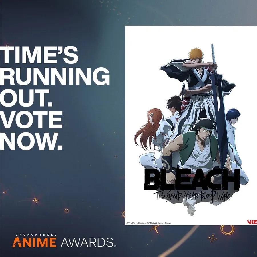 Final Call: Support BLEACH: Thousand-Year Blood War Part 3 in the 2025 Anime Awards
