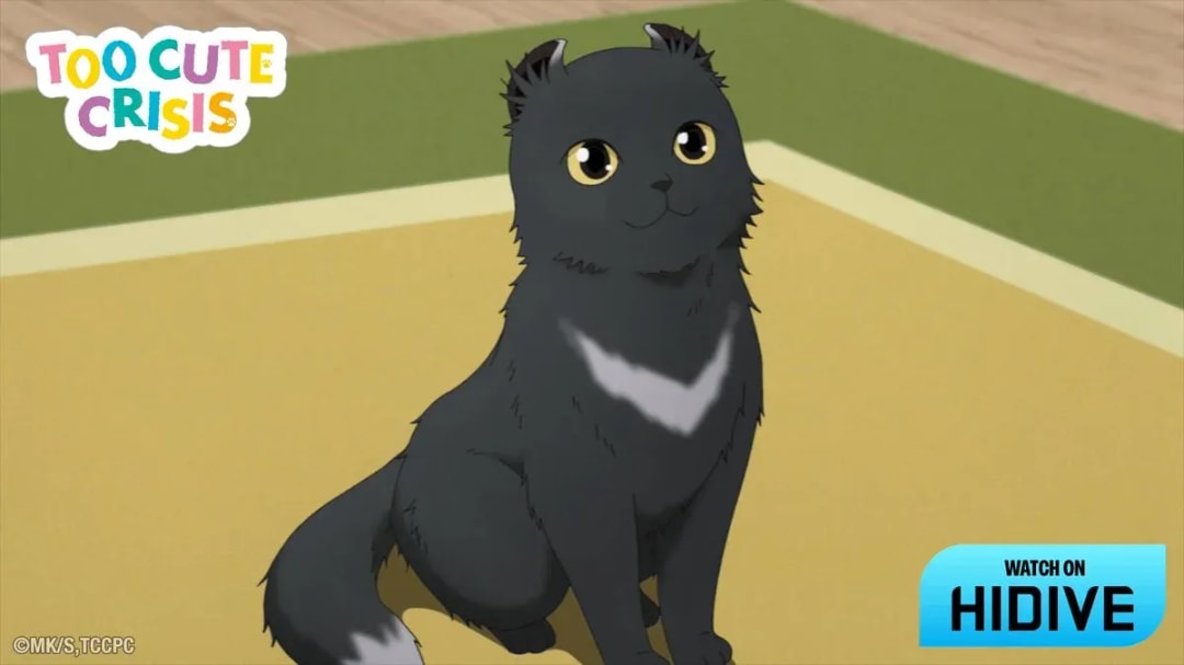 Celebrate International Cat Day with 'Too Cute Crisis' Anime