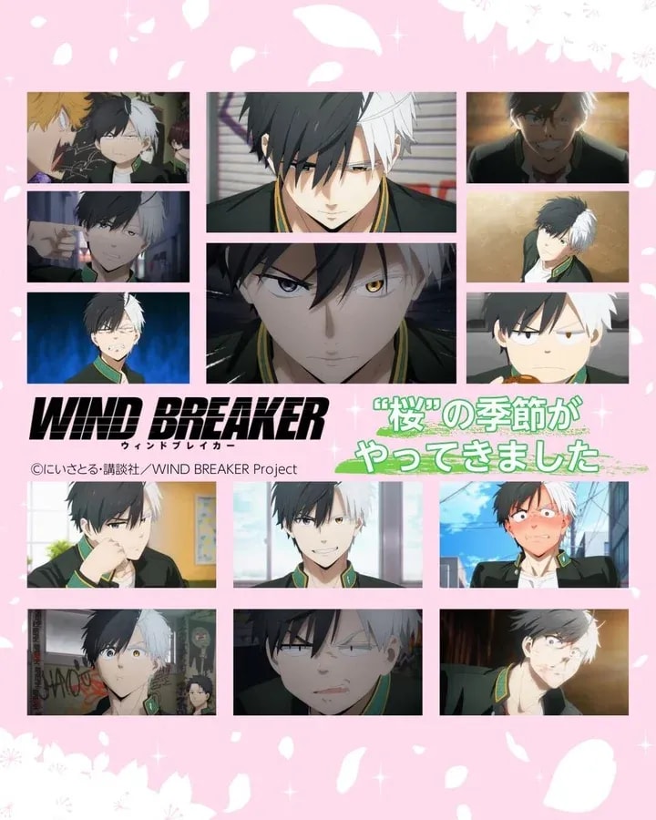 Celebrate the Arrival of Sakura Season with WIND BREAKER on Prime Video