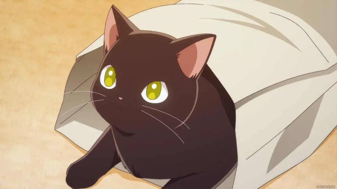 Why 'The Ice Guy and His Cool Female Colleague' Prefers a Random Bag Over an Expensive Bed