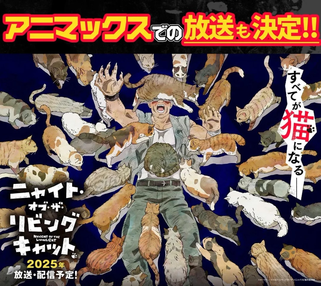 Night of the Living Cat Expands Broadcast to Animax