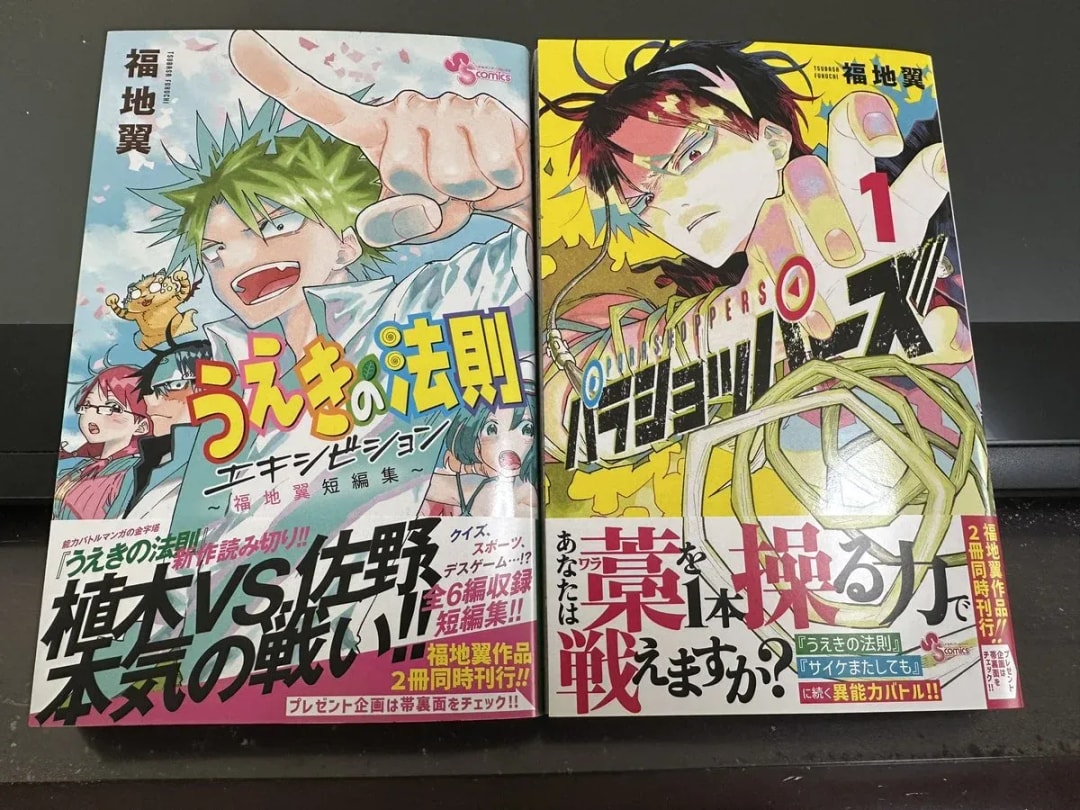 New Arrival: Parashoppers and Ueki's Law Exhibition in Okinawa
