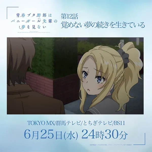 Seishun Buta Yarou Episode 12: Countdown to the Rebroadcast