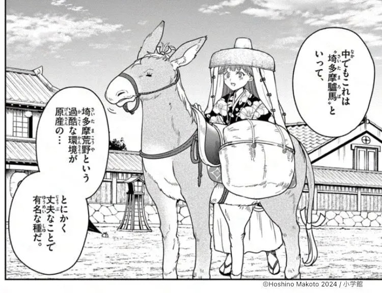 Celebrate World Donkey Day with Sasami from 'Isagi the Dragon Sender'!