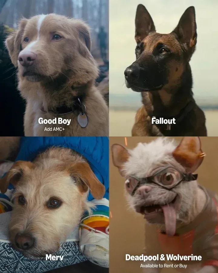 Exploring the Charm of 'Good Boys' Anime