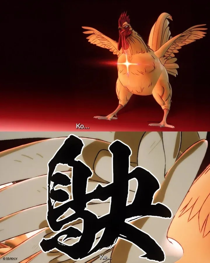 Join the Rooster Fighter Fan Craze