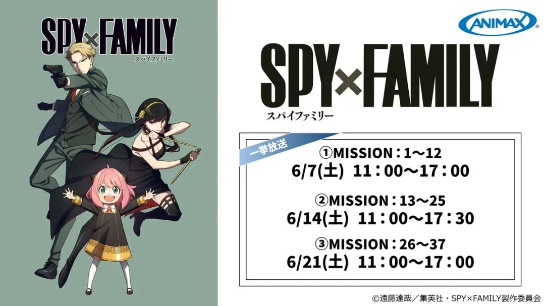 Don't Miss the SPY×FAMILY Marathon: Episodes 26-37