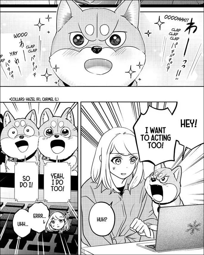 Discover Mu-chan's Adventure: The Ugly Duckling Performance in Shiba Inu Rooms