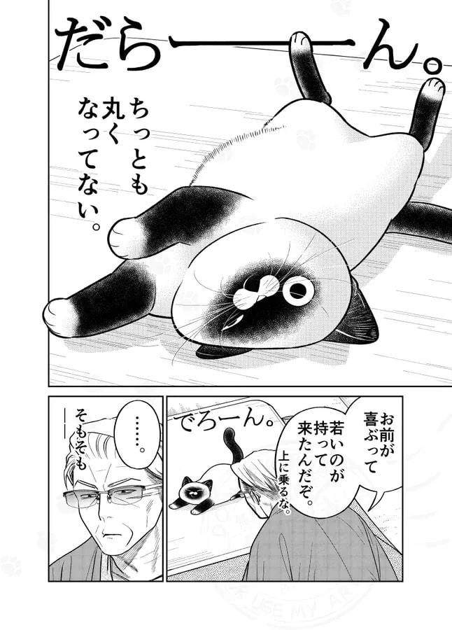 Heartwarming Winter Tale: A Stray Cat and a Former Yakuza's Unlikely Bond