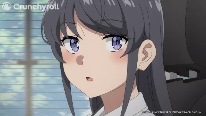 Unforgettable Sakuta Scene from Rascal Does Not Dream of Santa Claus