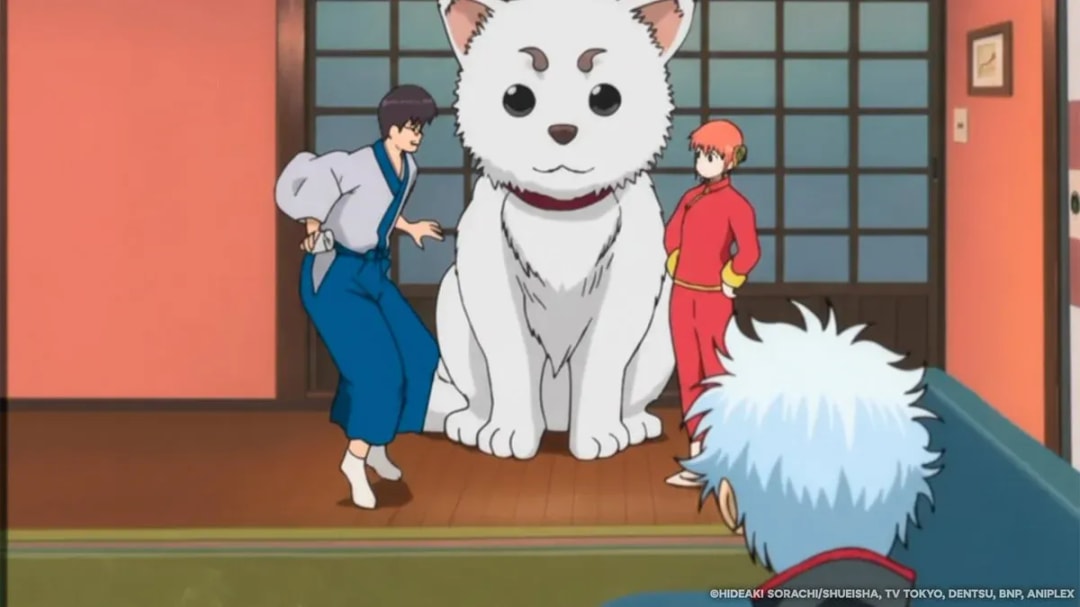 Unexpected Pet Addition: A Sibling's Surprising Shopping Trip