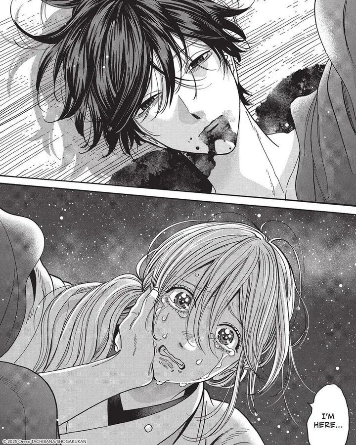 Shinpei's Fate in Firefly Wedding: A Closer Look