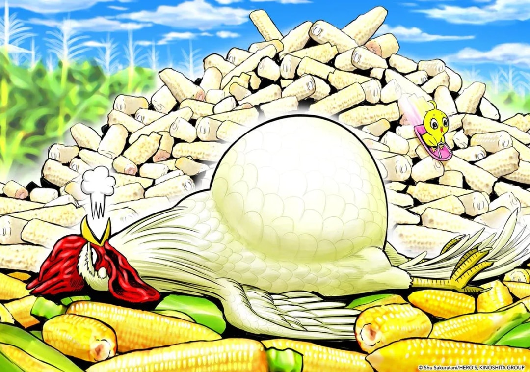 Rooster Fighter Celebrates Thanksgiving with Positivity