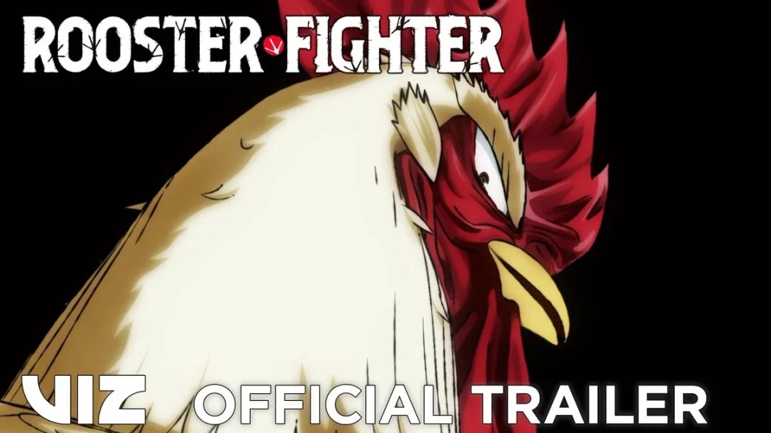 Rooster Fighter Anime Streaming on Spring 2026