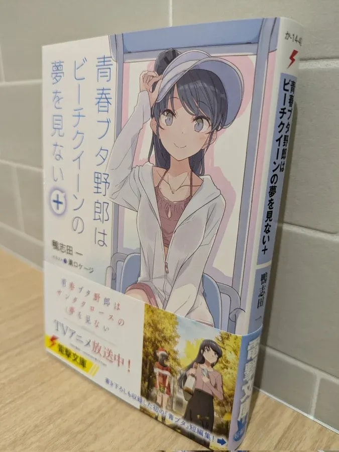 Exciting July Releases for 'Rascal Does Not Dream' Series!