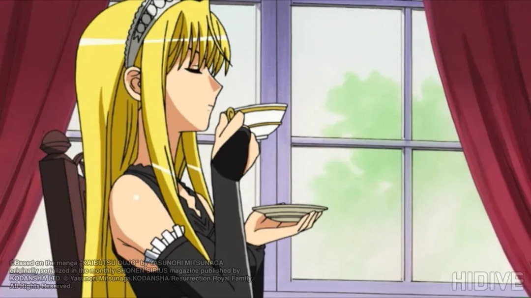 Discover Today's Anime: Princess Resurrection