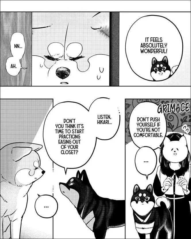 Will Hikari Reveal Their True Self in Shiba Inu Rooms?