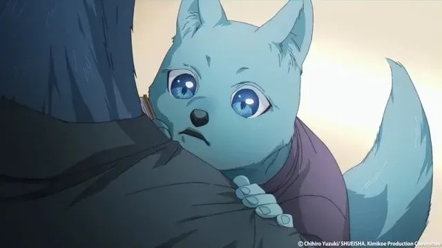 Celebrating Baby Tsunagu: A Heartfelt Tribute