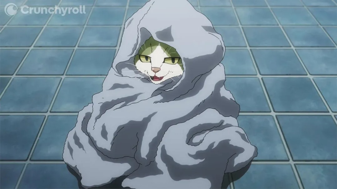 Discover the Viral Cat Burrito Meme