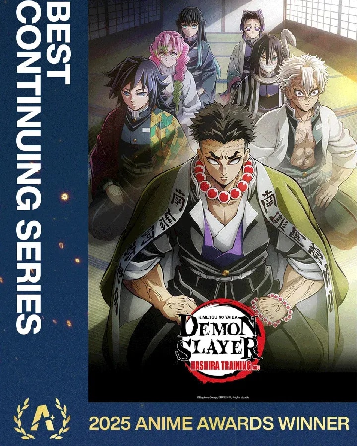 Demon Slayer: Kimetsu no Yaiba Hashira Training Arc Triumphs at 2025 Anime Awards