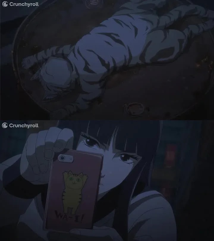 Why Your Cat Needs Cat Pics Right Now