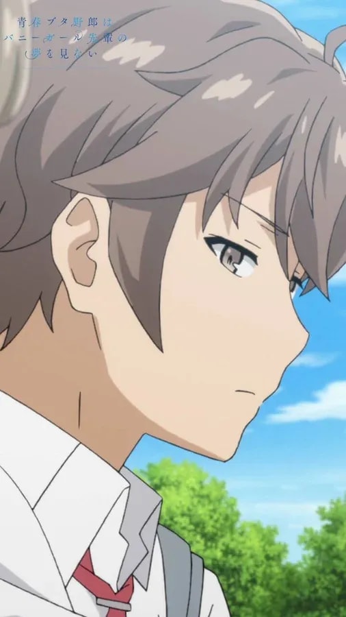 Catch the Re-airing of 'Rascal Does Not Dream of Bunny Girl Senpai'!