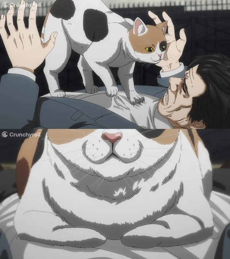 How Cats Plan to Take Over the World in the Cutest Way Possible